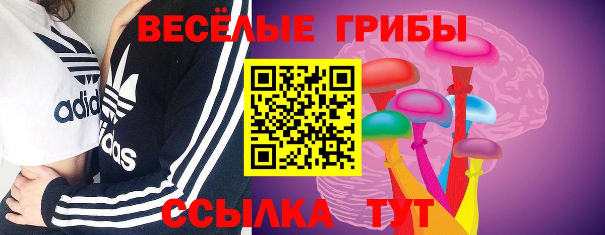 как найти наркотики  Псилоцибиновые грибы ЛСД  Вход с VPN  Орёл  Галлюциногенные грибы Cubensis 